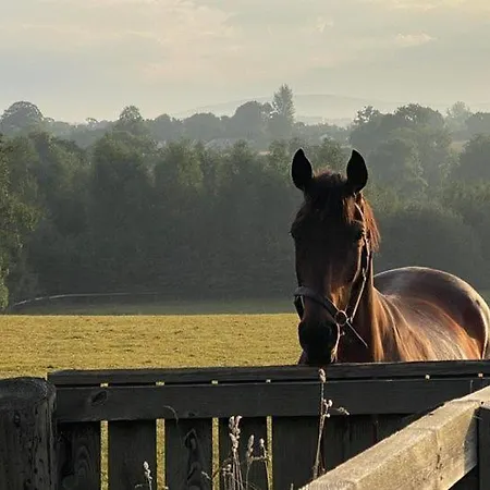 Romantic Hot Tub Retreat With Bar & Tapas Restaurant On-site